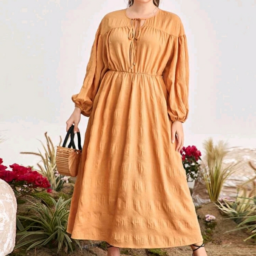 #31 Brand New Plus Tie Neck A Line Dress